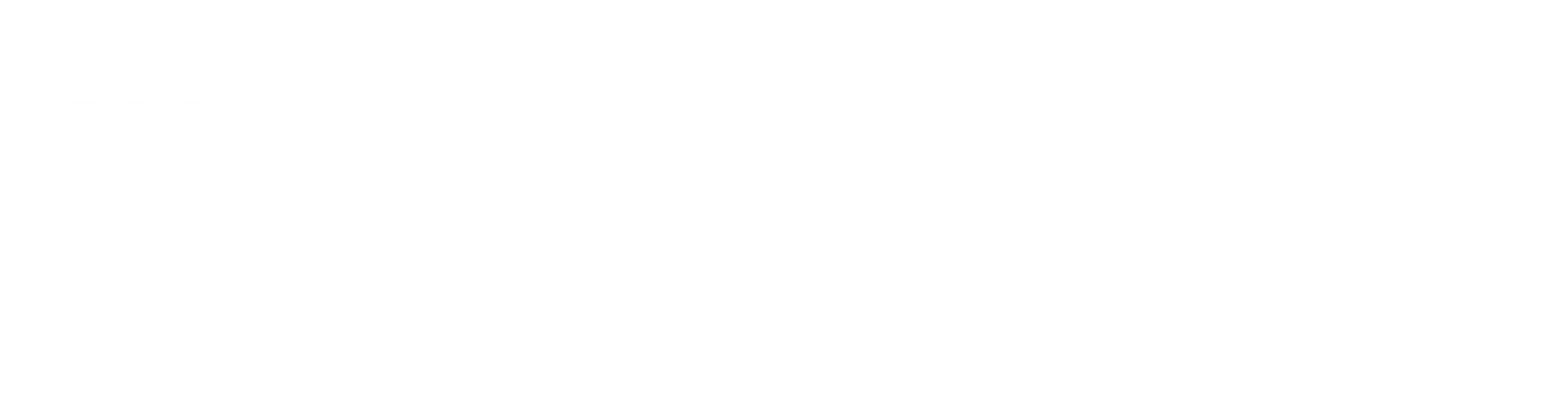 The Noodler